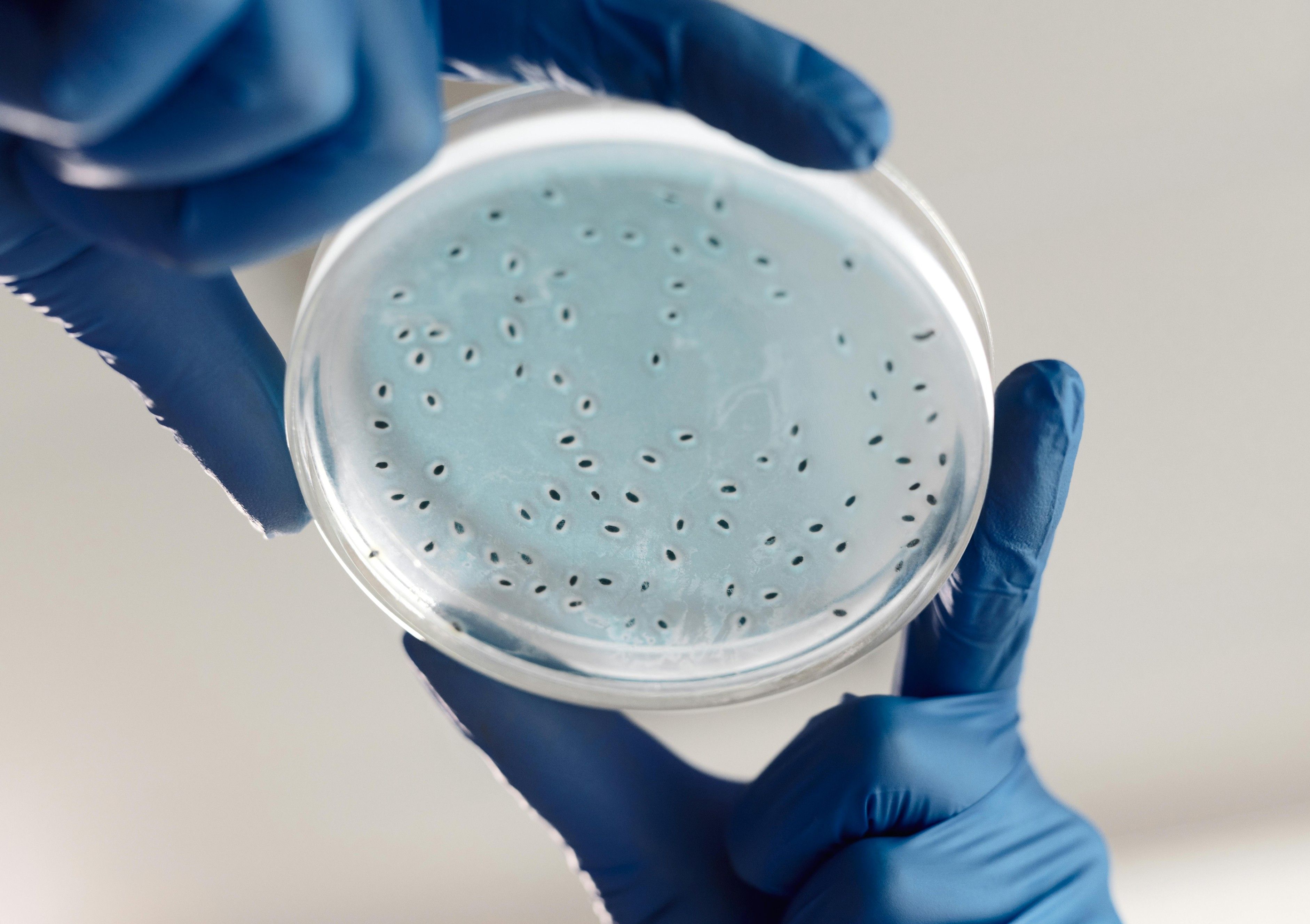 Make informed and intelligent decisions based on data