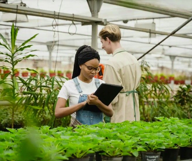 Regulatory Compliance and Reporting