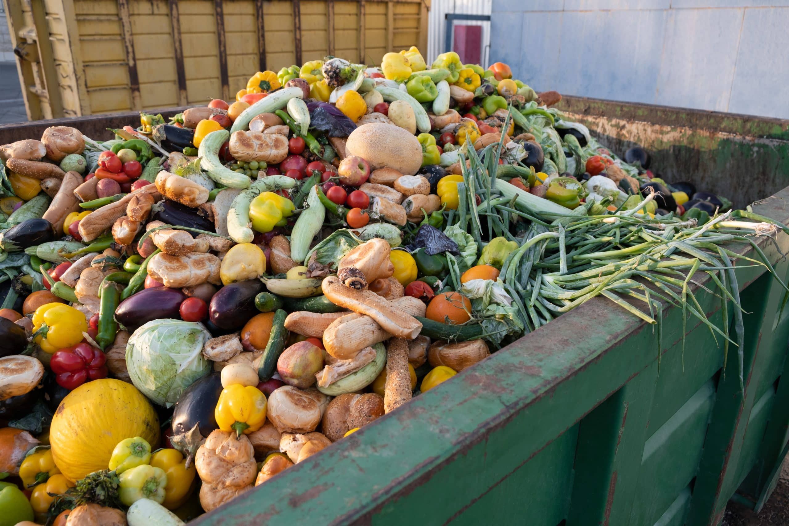 Waste Not, Want Not: How Data Analytics Can Tackle Food Waste
