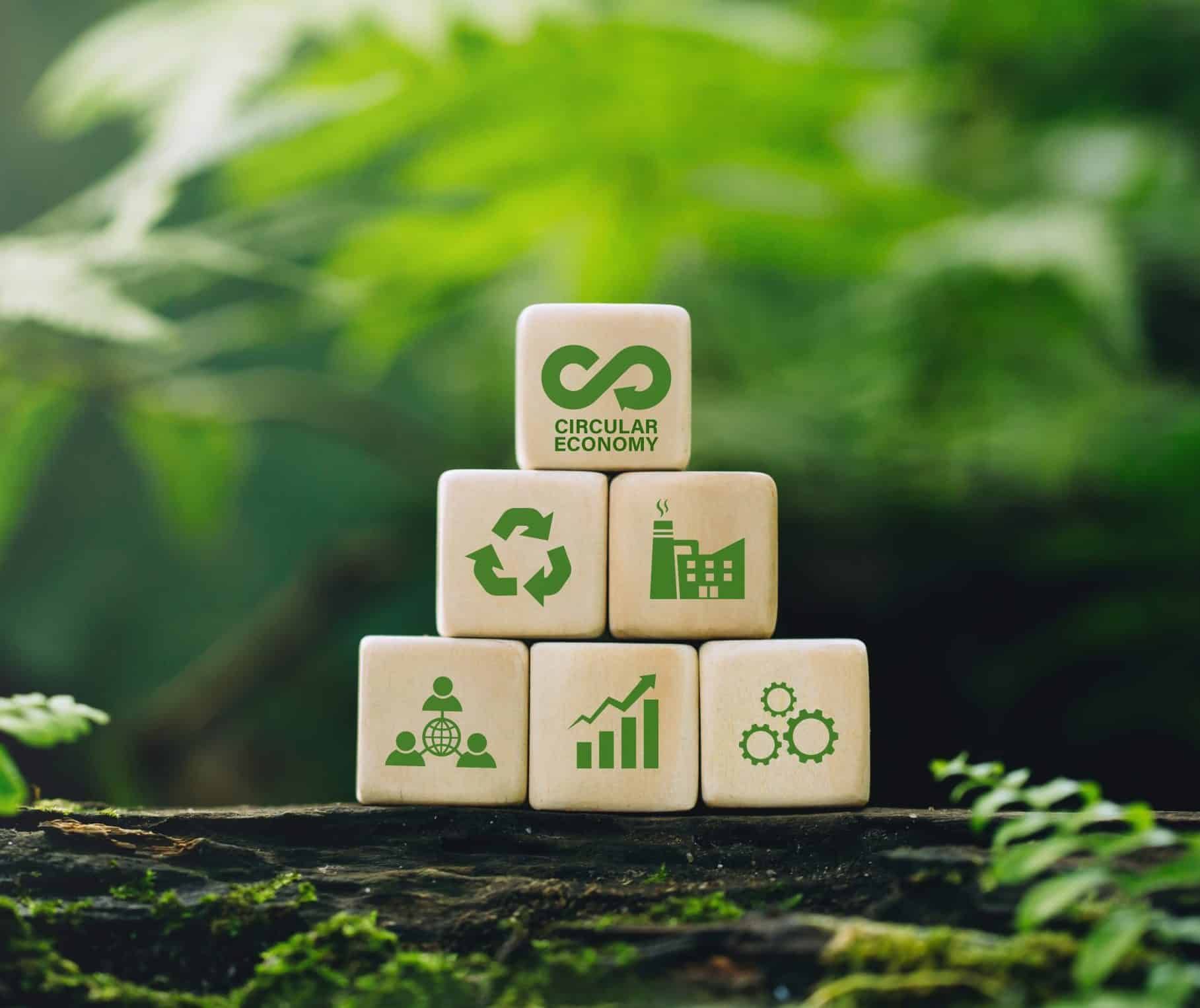 Carbon Removal Strategy: Insights From Our Path to Net-Positive