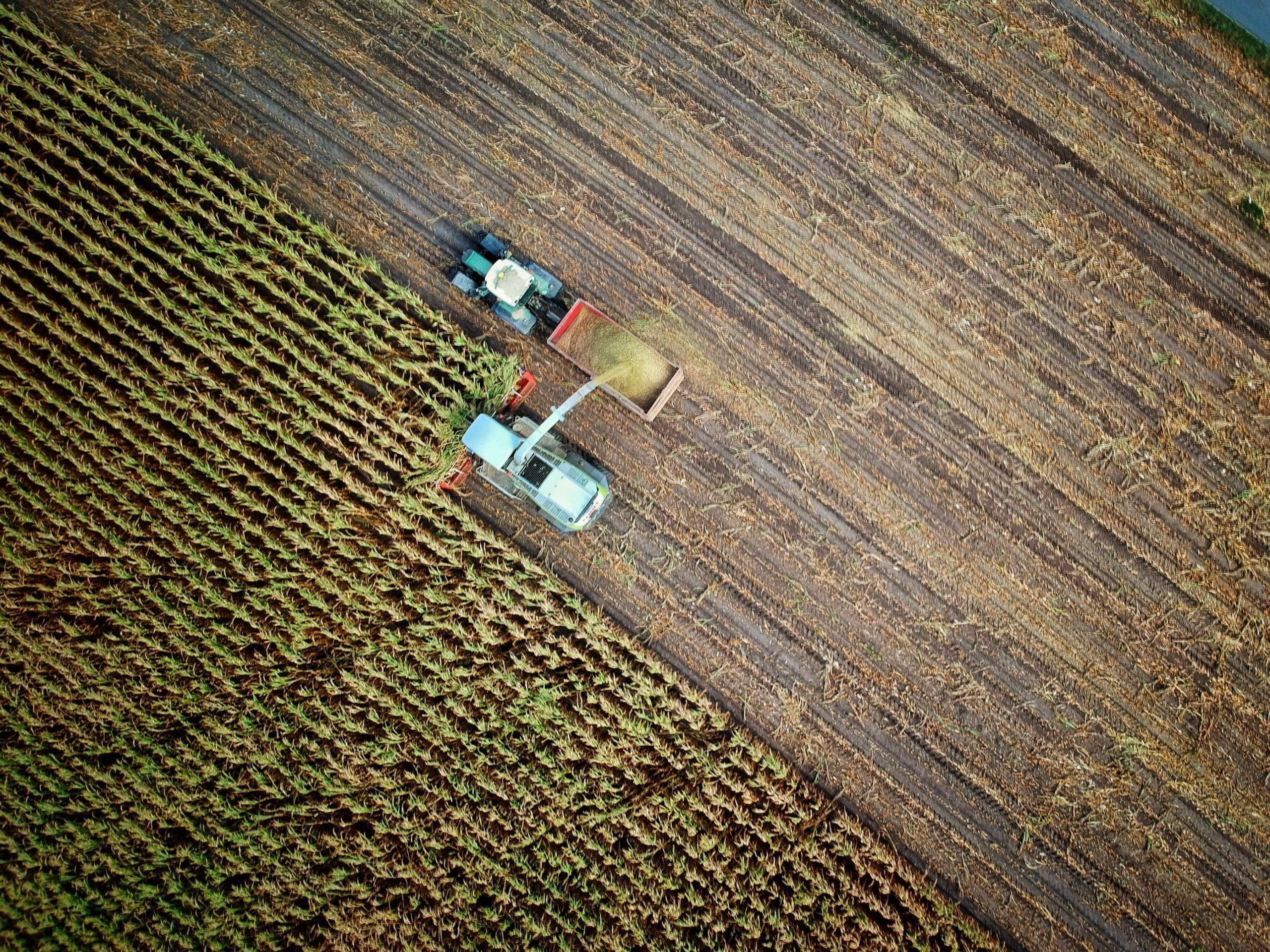 How can Agriculture & Food companies benefit from data and AI solutions?