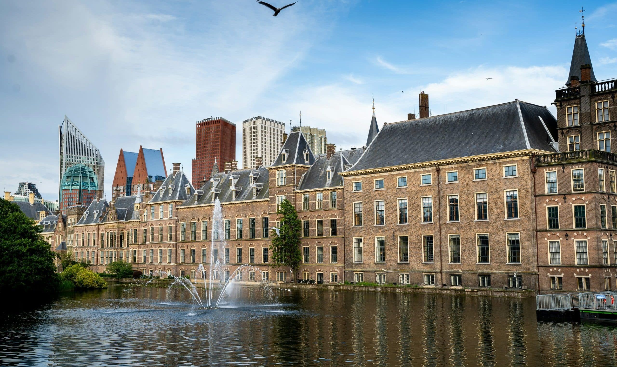 Reprogramming the Dutch Government: A Digital Transformation Initiative