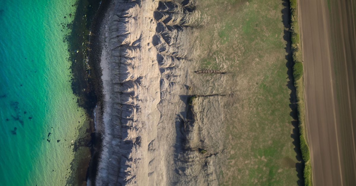 value-of-biosolutions-bg-1200×630